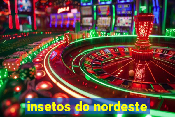 insetos do nordeste